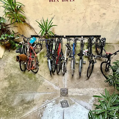 Charming Port Of Flat 1 公寓 尼斯